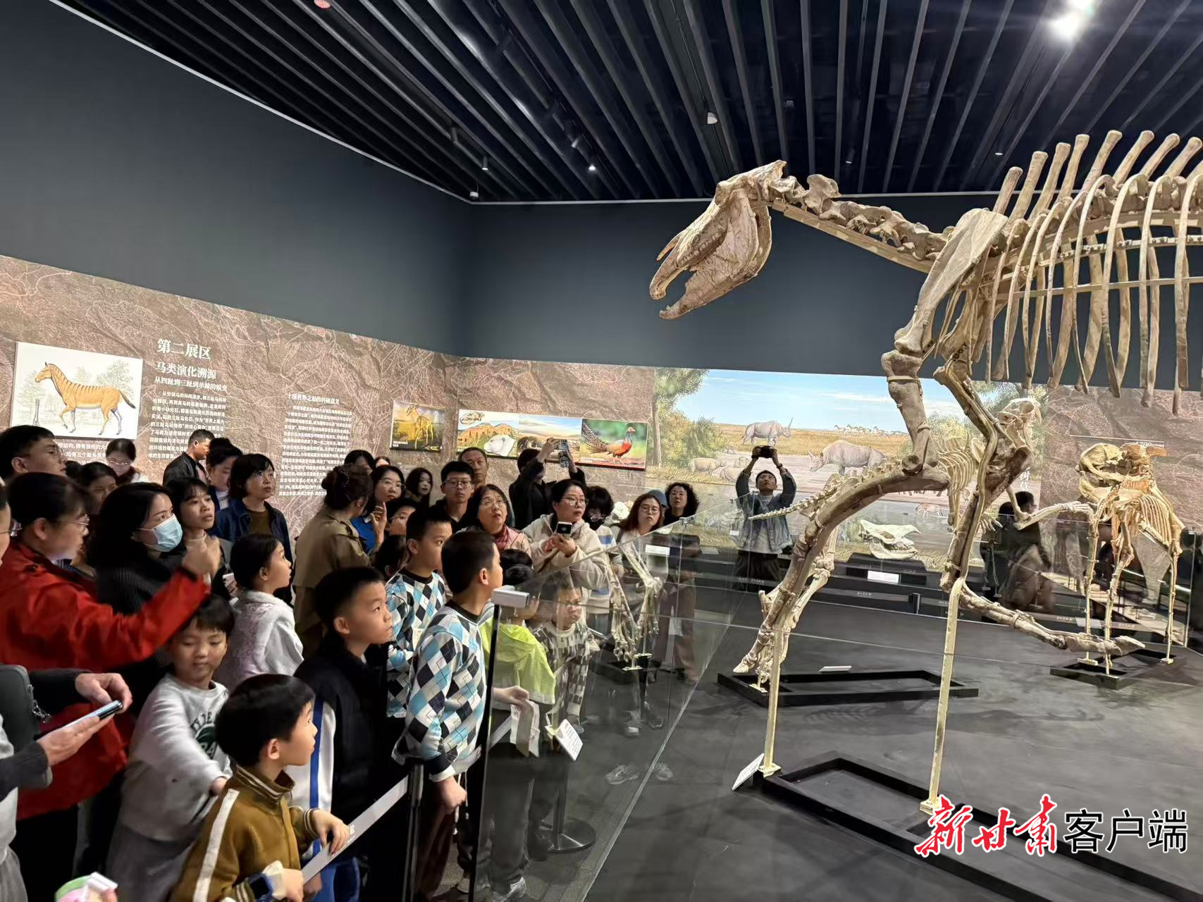 和政古动物化石主题特展吸引了深圳众多观众