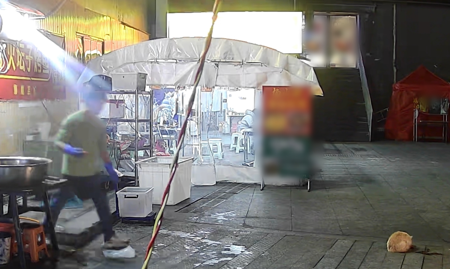 男子去喂流浪猫(监控截图)