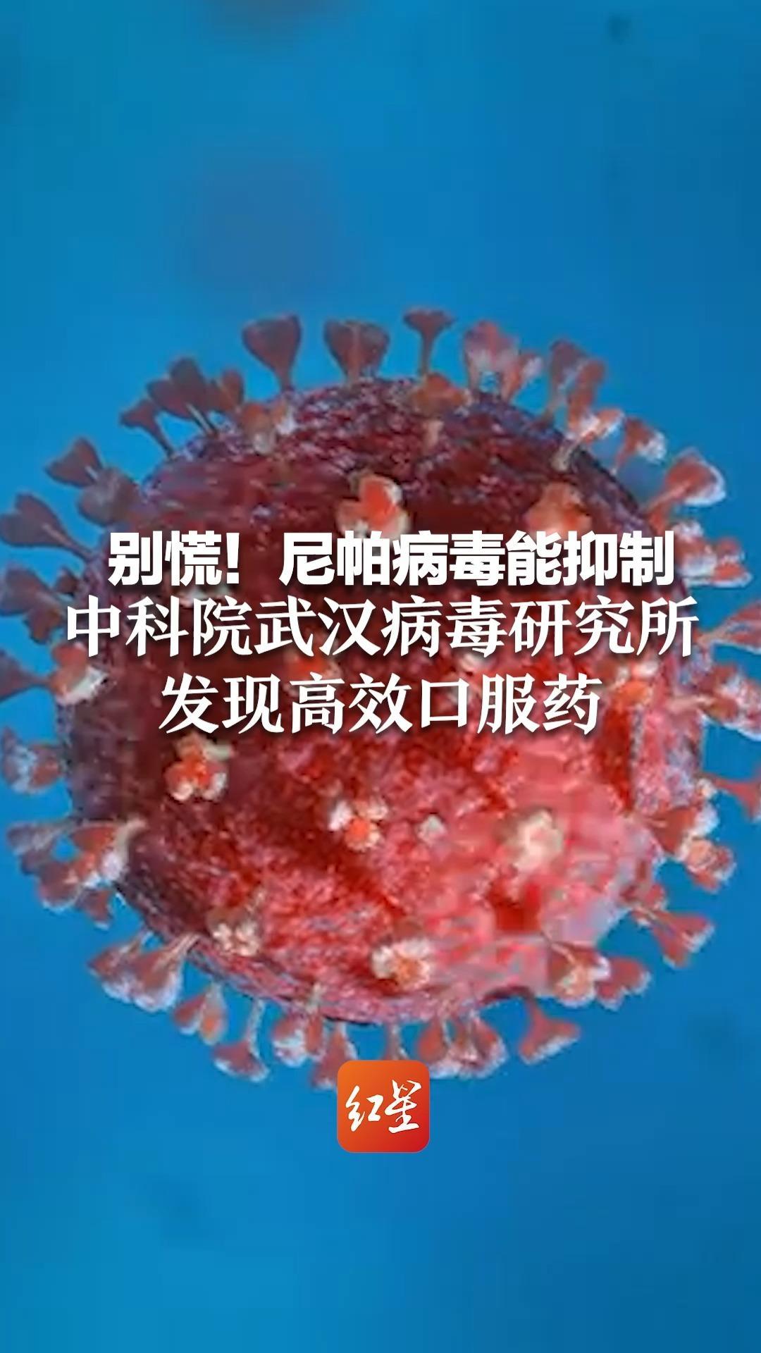 45天潜伏期，致死率最高75％ 别慌！尼帕病毒能抑制 中科院武汉病毒研究所 发现高效口服药