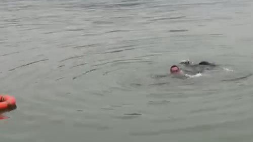 小男孩不慎滑入长江，退伍军人跳江救人不幸牺牲