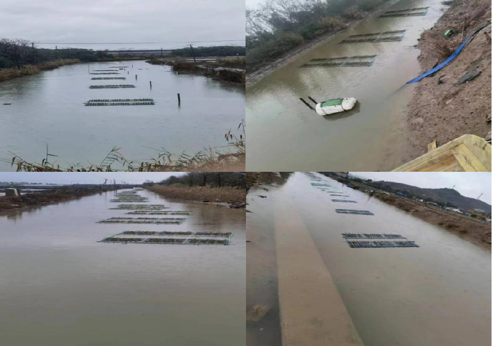 宁波鄞州:以顶层设计与科技赋能探索养殖尾水治理新模式