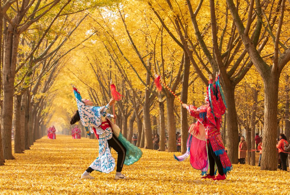田野生金 乡村焕彩！徐州邳州以产业之力铺就振兴路