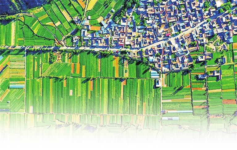 定西沃野披绿装