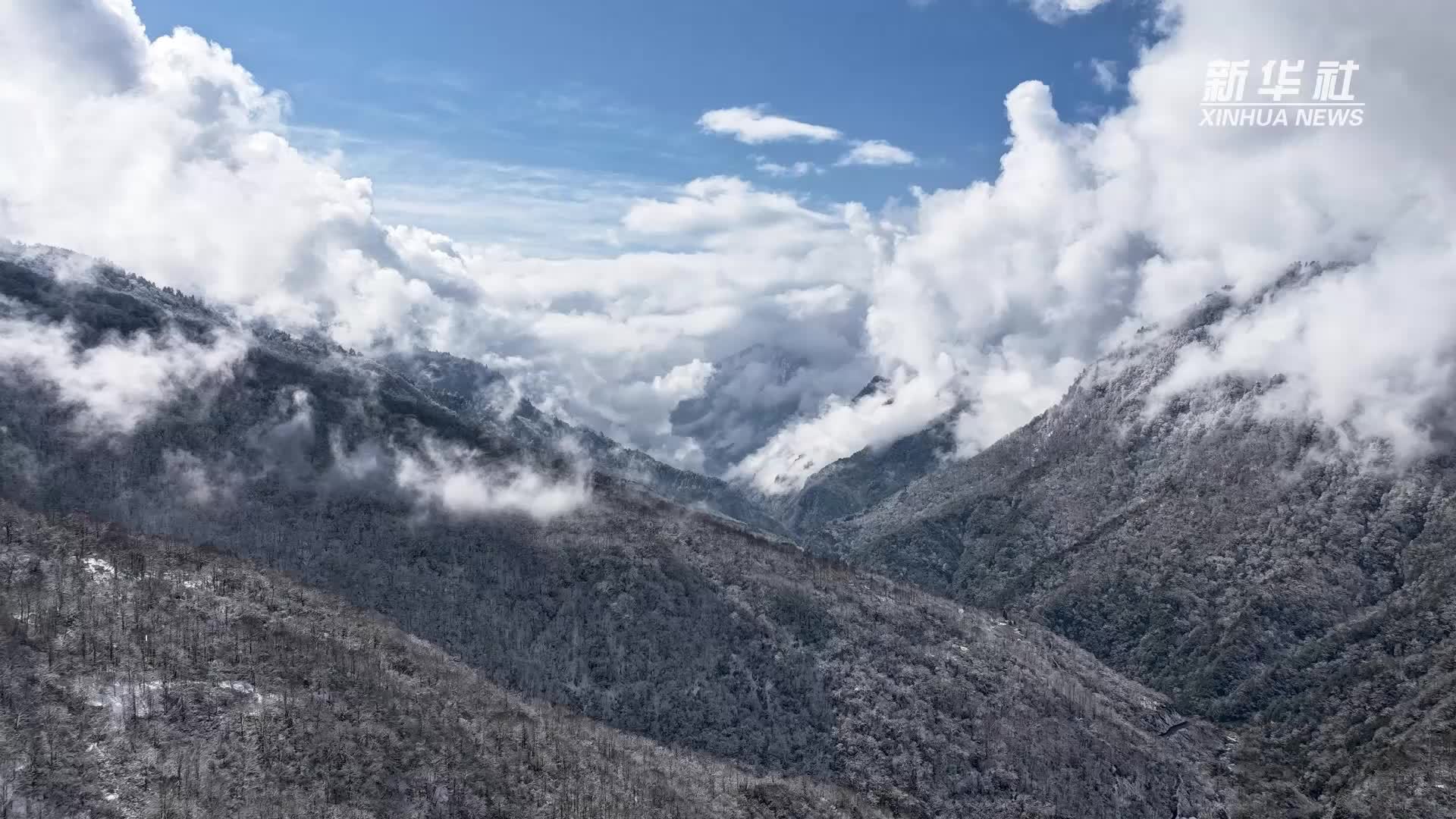 千城胜景｜四川天全：喇叭河冬日画卷
