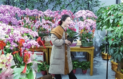 主播在玉湖花卉市场线上直播销售年宵花。