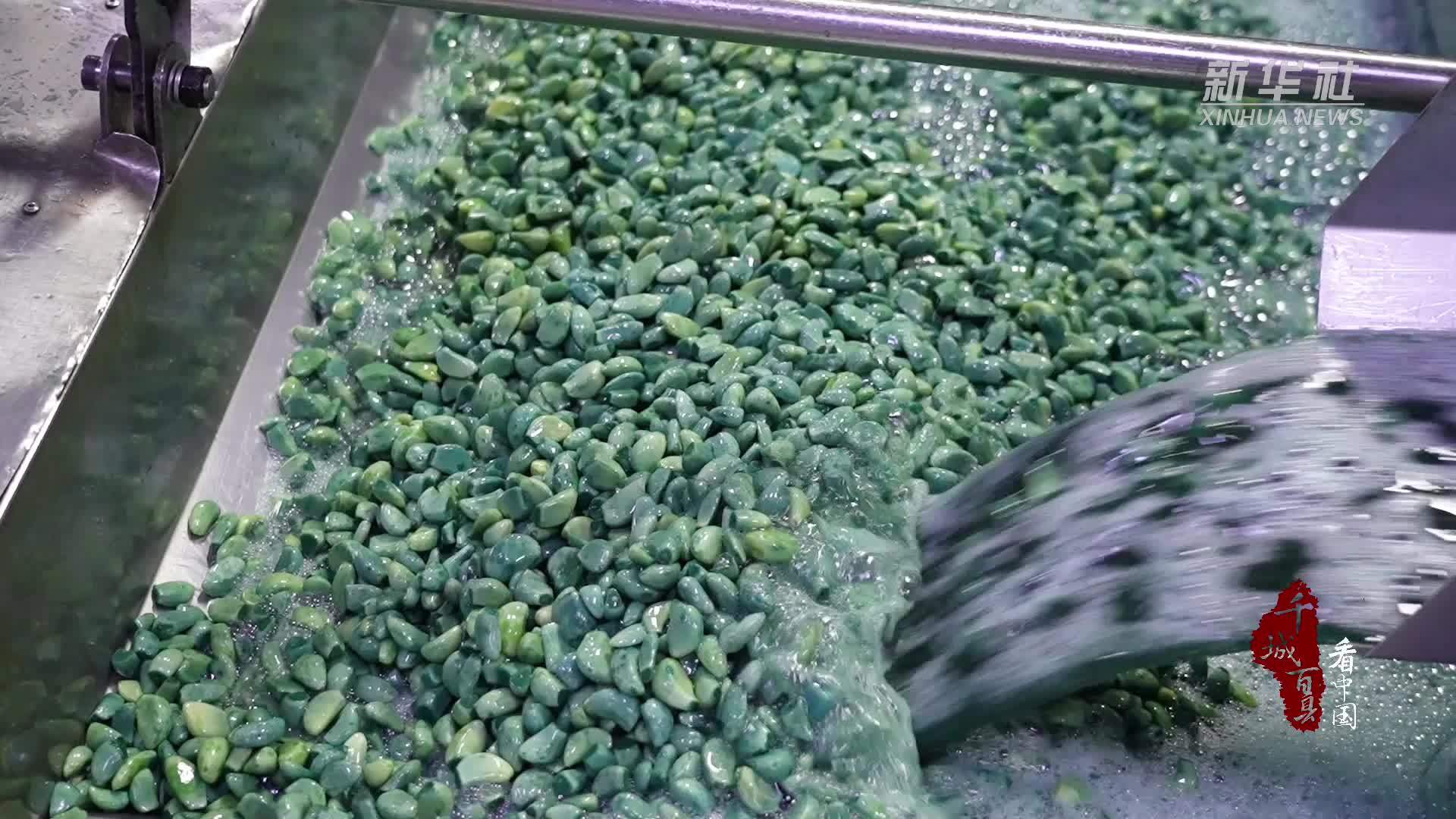 千城百县看中国｜山东成武：腊八蒜进入产销旺季