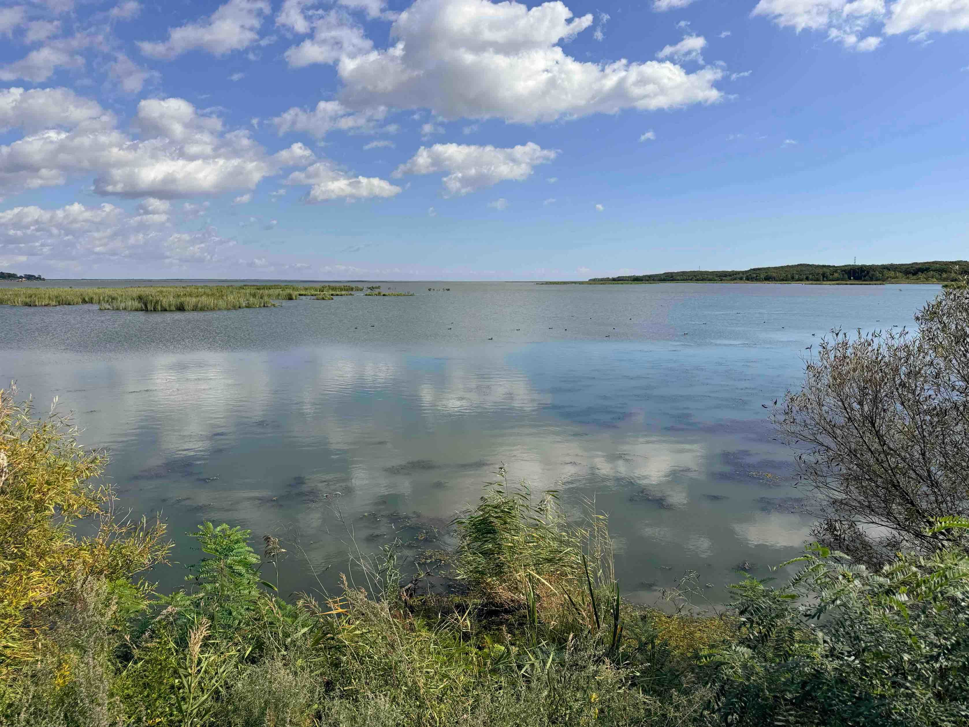 鸡西市生态景色