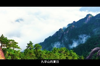 九华山的夏日