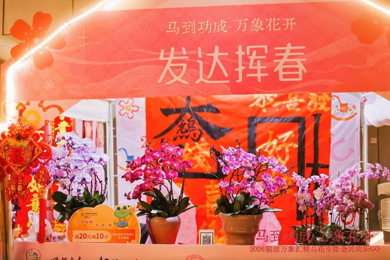办年货，添年花！2026顺德万象汇精品花市开启新春一站式采购