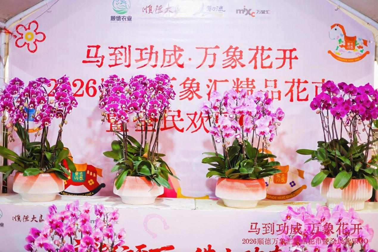 办年货，添年花！2026顺德万象汇精品花市开启新春一站式采购