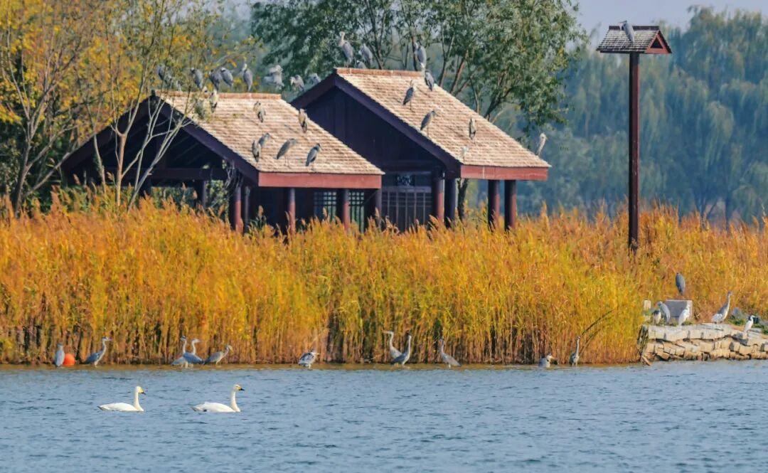 太震撼！淄博这里惊现冬日限定美景！