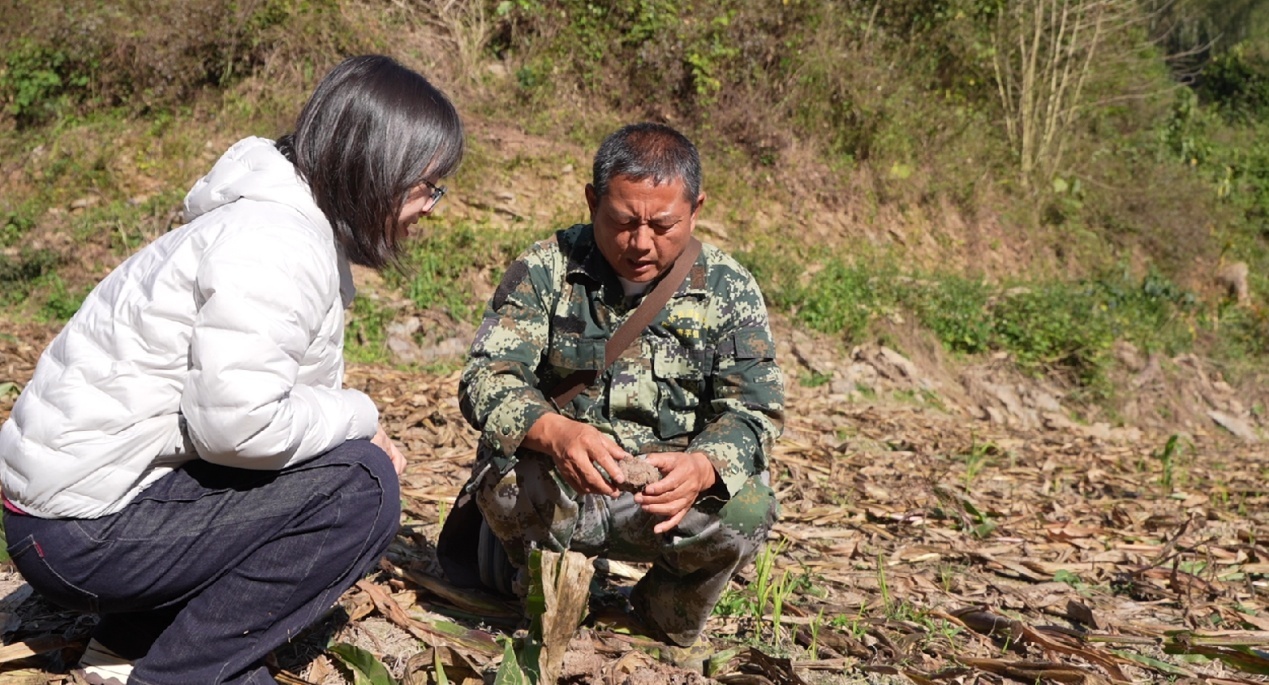 刁发兴与记者观察大象粪便