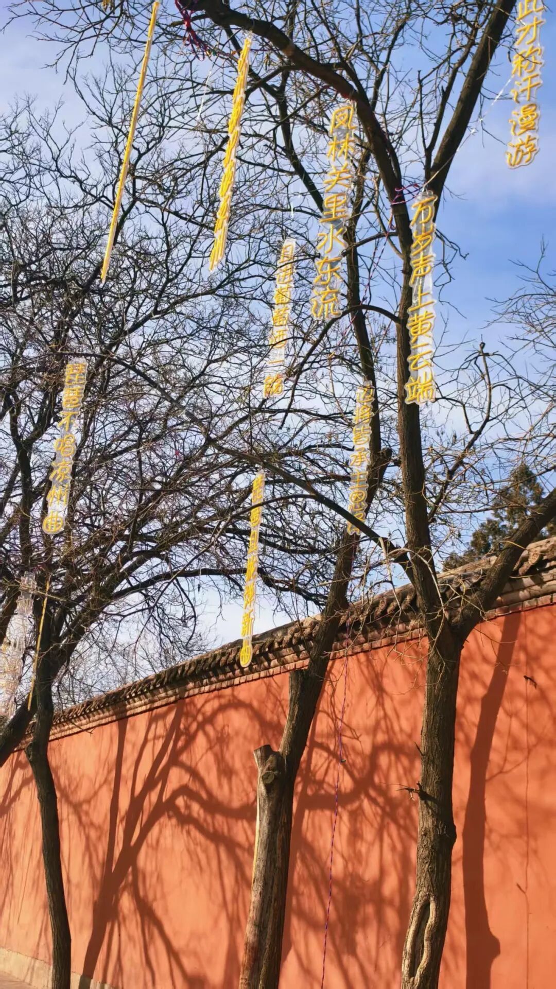 供图：武威市西夏博物馆