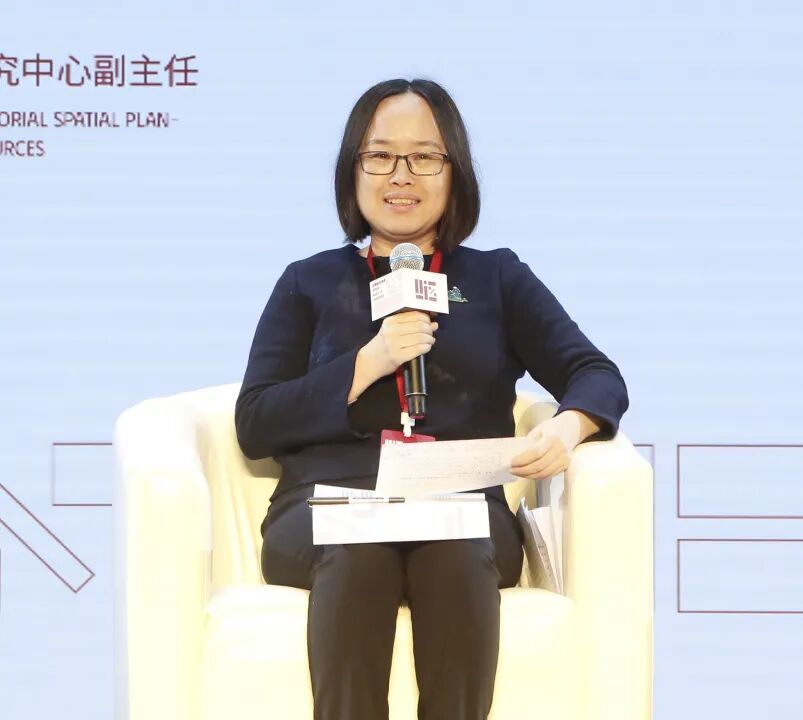 自然资源部国土空间规划研究中心副主任、总规划师，商静