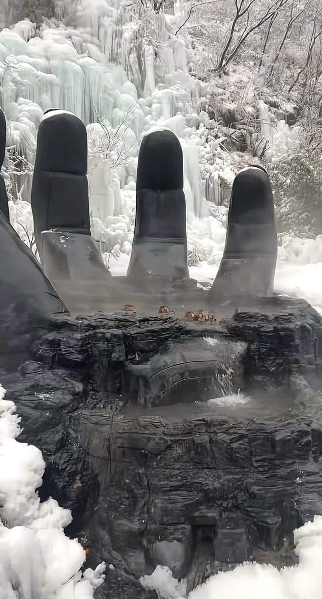 网友拍摄的视频截图