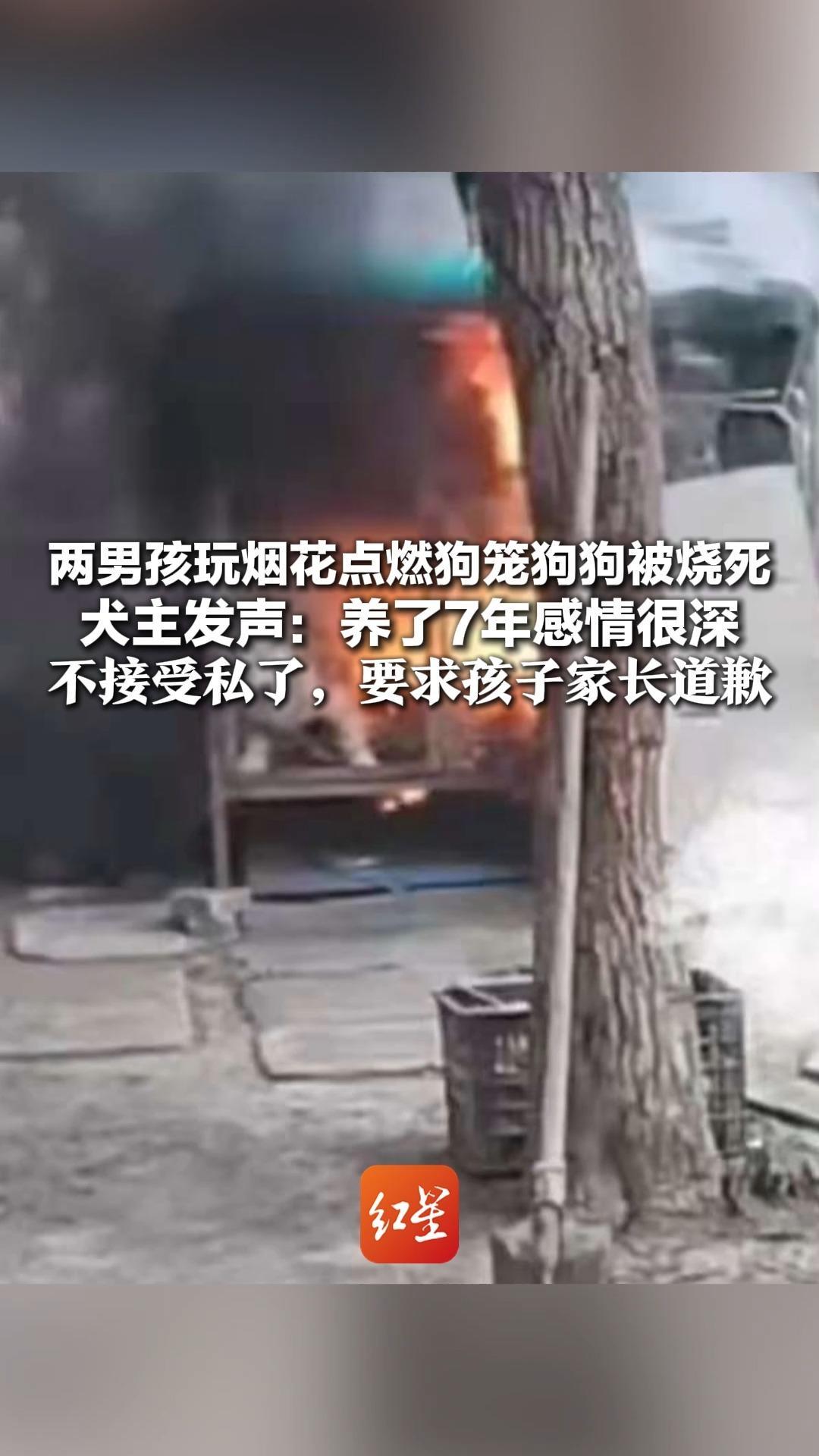 两男孩玩烟花点燃狗笼狗狗被烧死 犬主发声：养了7年感情很深 不接受私了，要求孩子家长道歉 当地街道办：派出所正在协调
