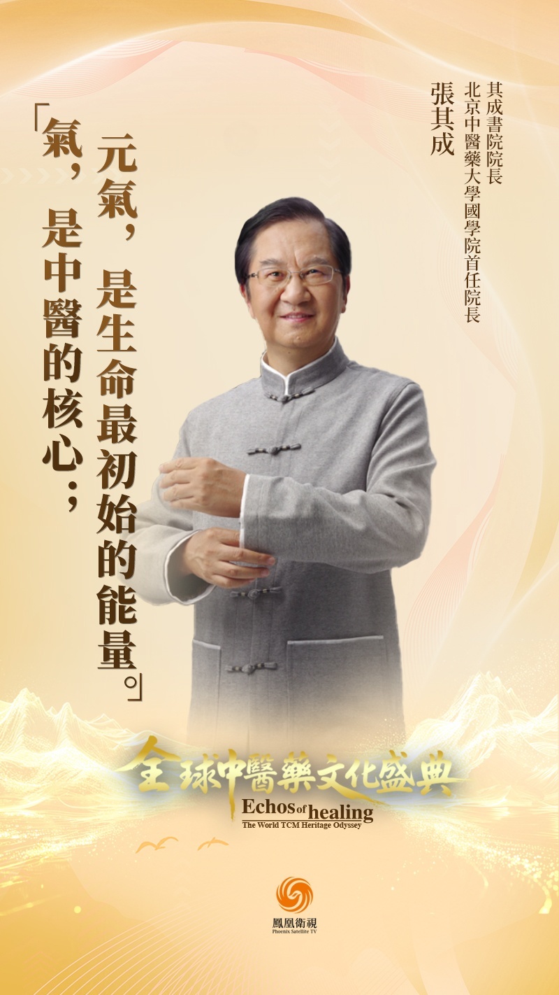 “气是中医的核心，元气是生命最初始的能量”——北京中医药大学国学院首任院长张其成