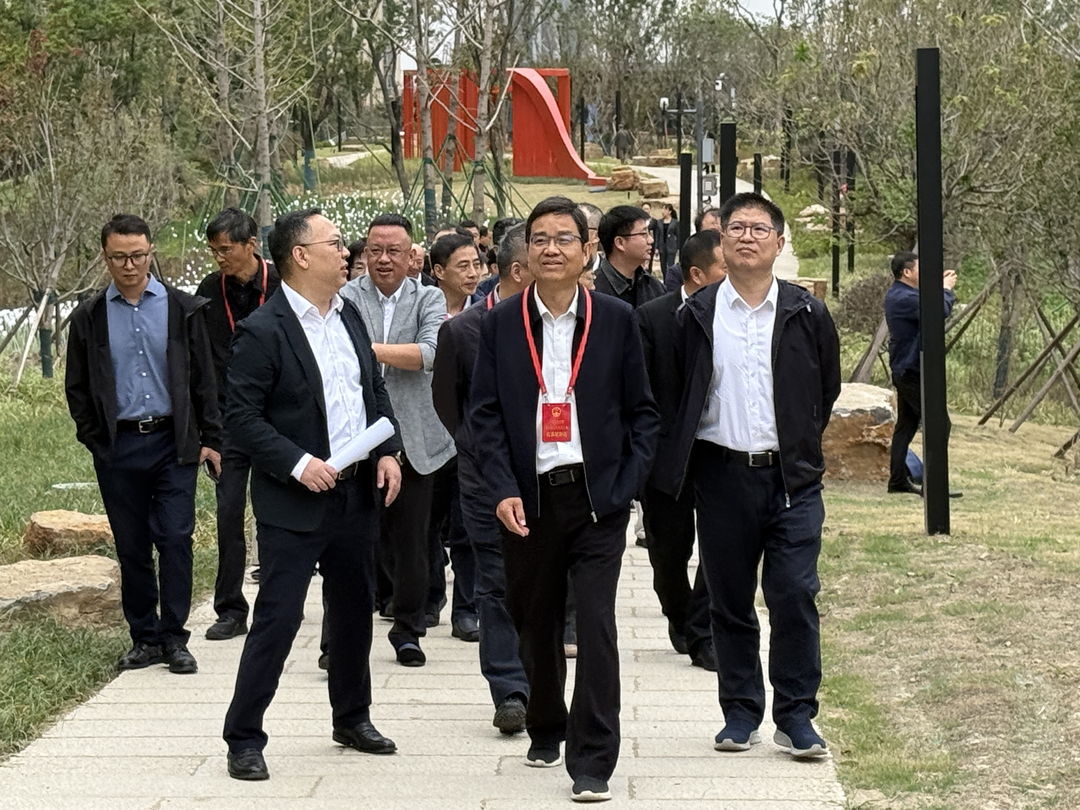 北仑区人大常委会开展城市功能品质提升情况集体视察