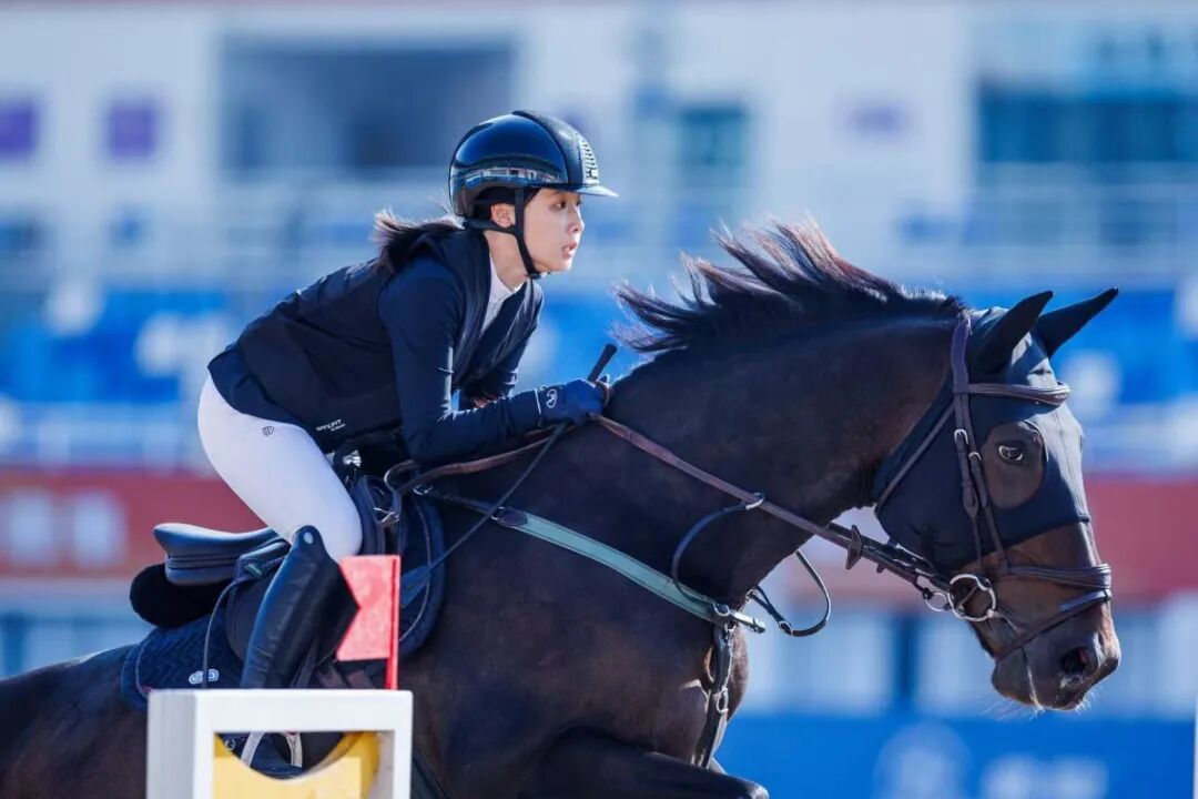 从宁波跃入国家队，16岁马术少女亚洲赛场夺银