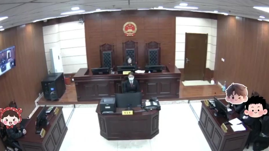 东北人开庭，从法官到当事人都像是在说小品