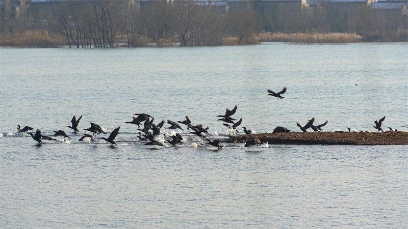 太震撼！淄博这里惊现冬日限定美景！