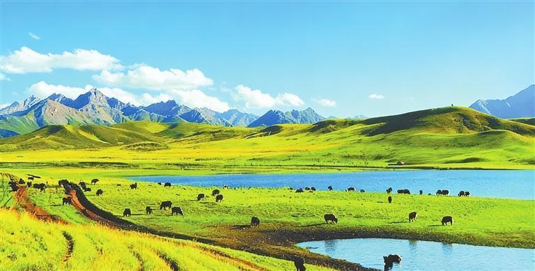 张掖山丹马场　本版图片均为资料图