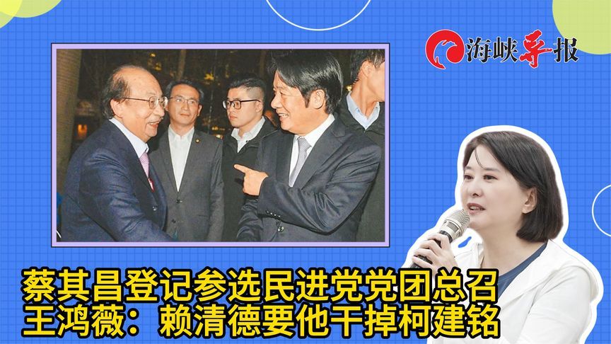 蔡其昌登记参选民进党党团总召，王鸿薇：赖清德要他干掉柯建铭