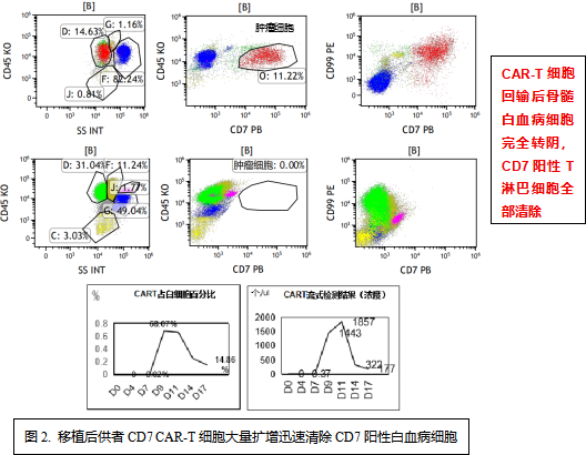 “免疫通行证”开启治疗新路径