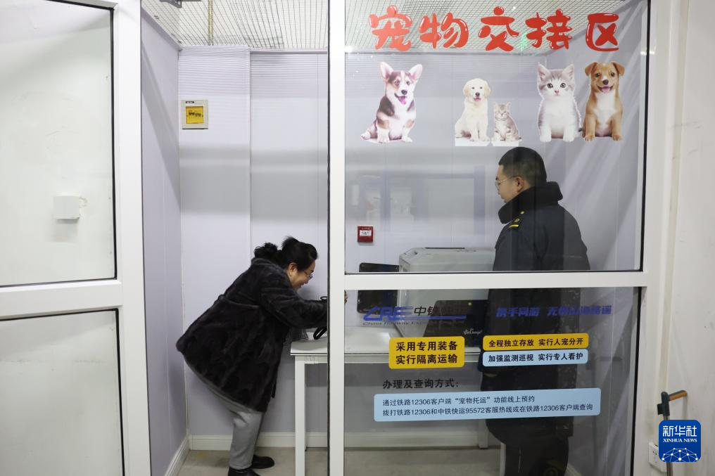 2月1日，在中铁快运兰州西站营业部宠物交接区，旅客董文琦隔着箱子与自己的小狗互动。