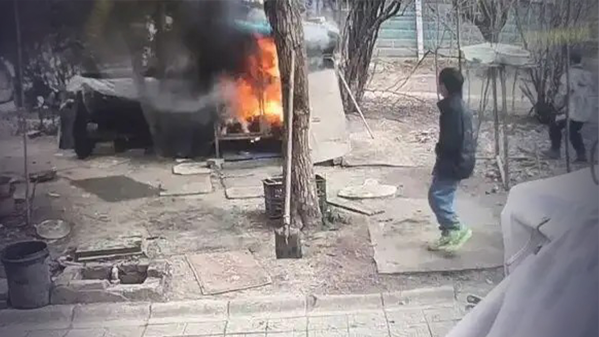 太恶劣！两小孩小区内玩耍 点烟花追鸡，还将养在笼内的萨摩耶活活烧死，犬主：不接受私了，要求孩子家长道歉，律师：小孩存在主观故意 构成民事侵权