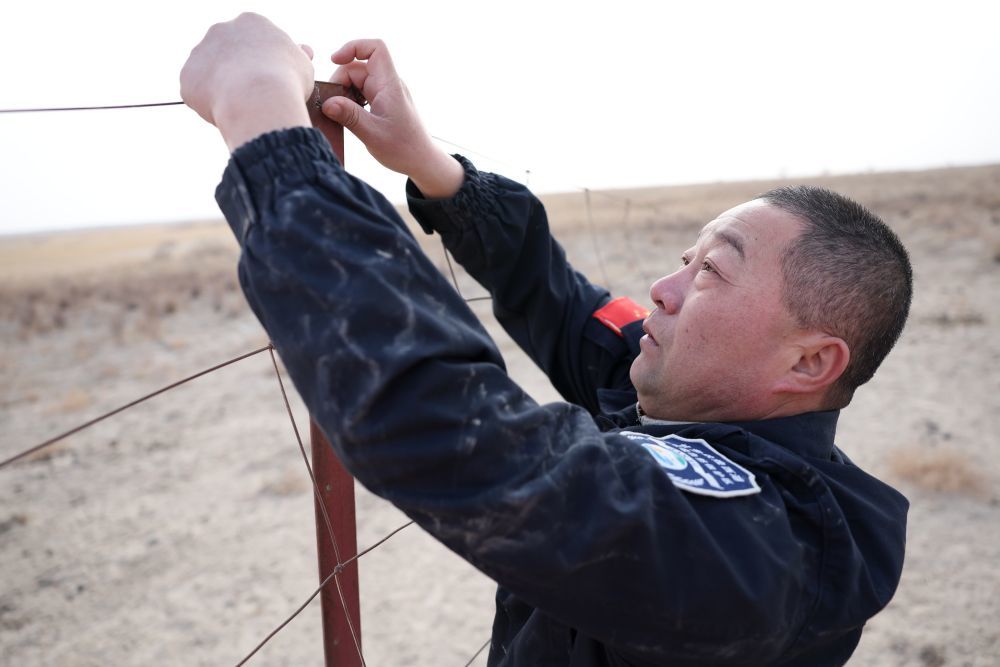 甘肃敦煌西湖国家级自然保护区管护中心玉门关保护站站长吴兴东在保护区内检查围栏（2月5日摄）