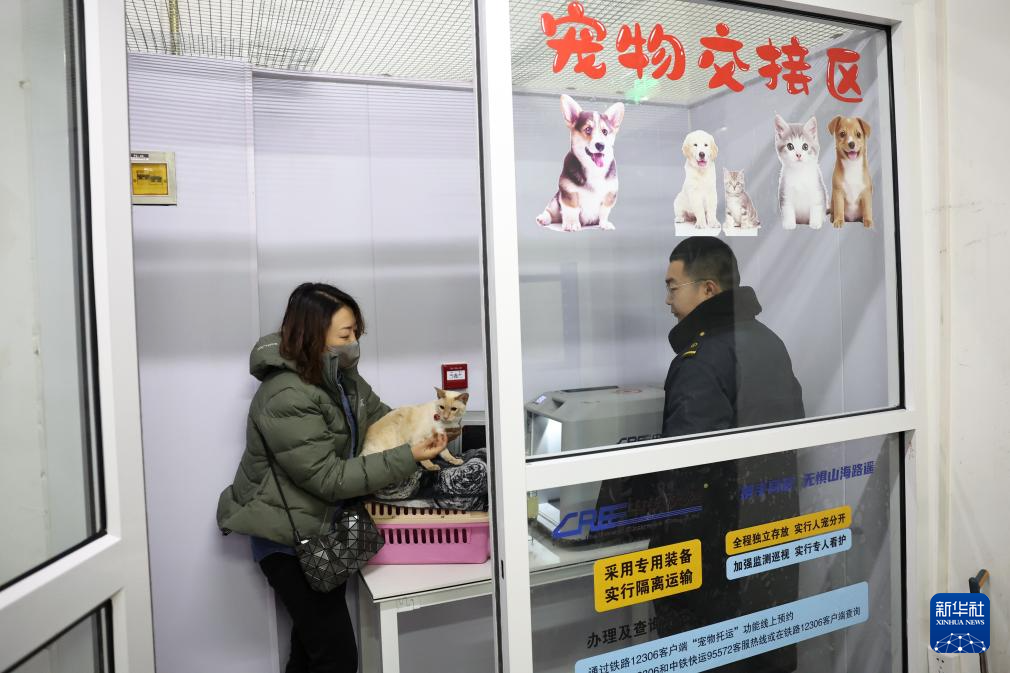 2月1日，在中铁快运兰州西站营业部宠物交接区，市民王静抱着自己的小猫准备放入高铁宠物运输专用箱进行托运。