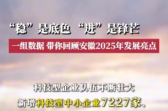 “稳”是底色，“进”是锋芒，一组数据，带你回顾安徽2025年发展亮点