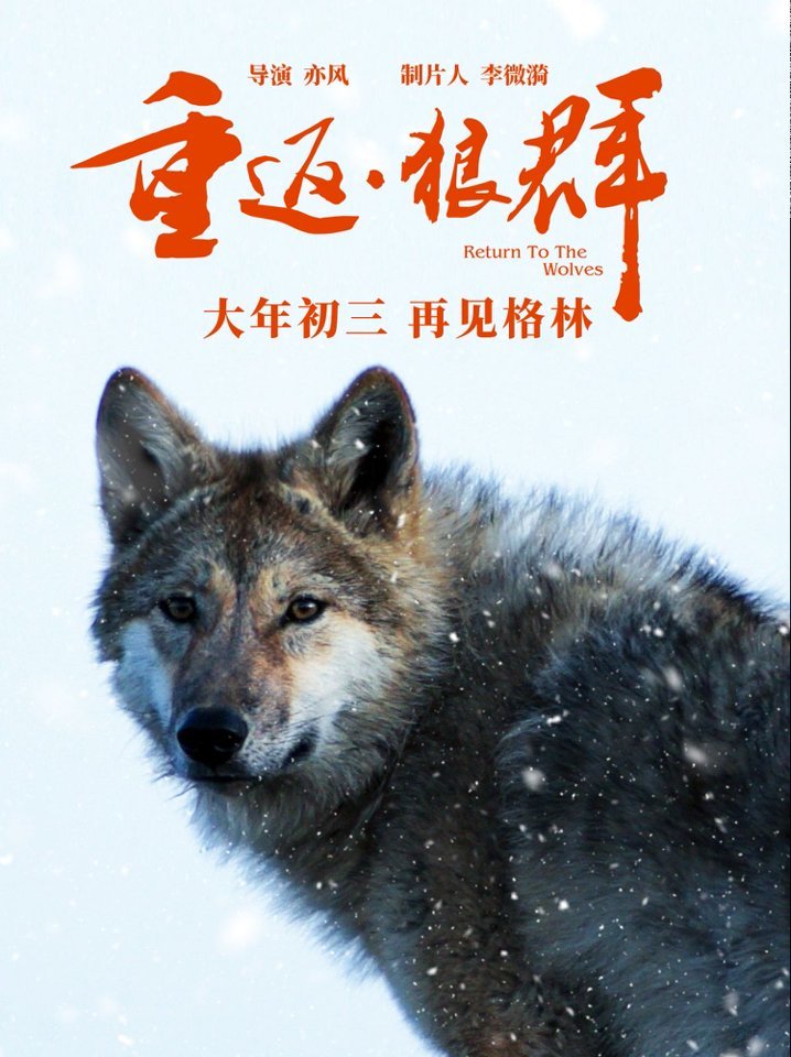 电影《重返·狼群》发布定档预告,影片将于大年初三全国重映