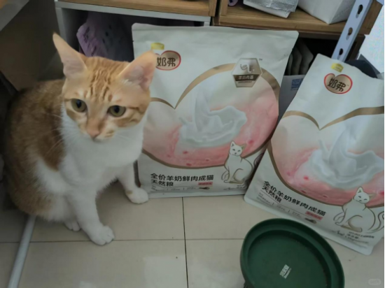 点击查看原始图片