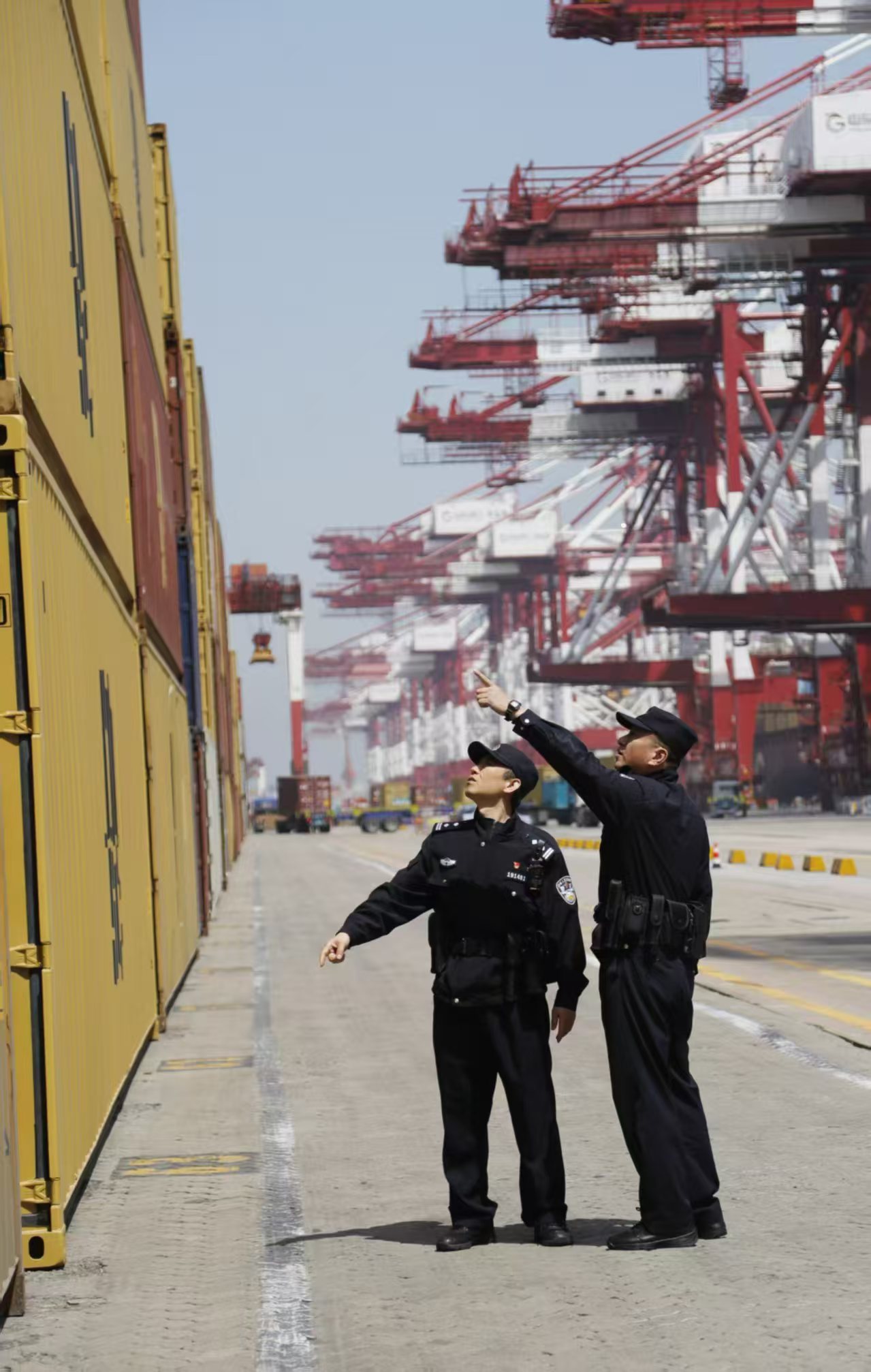 向海图强 智护安澜——青岛港航公安“四新”实践绘就世界级港口平安蓝图