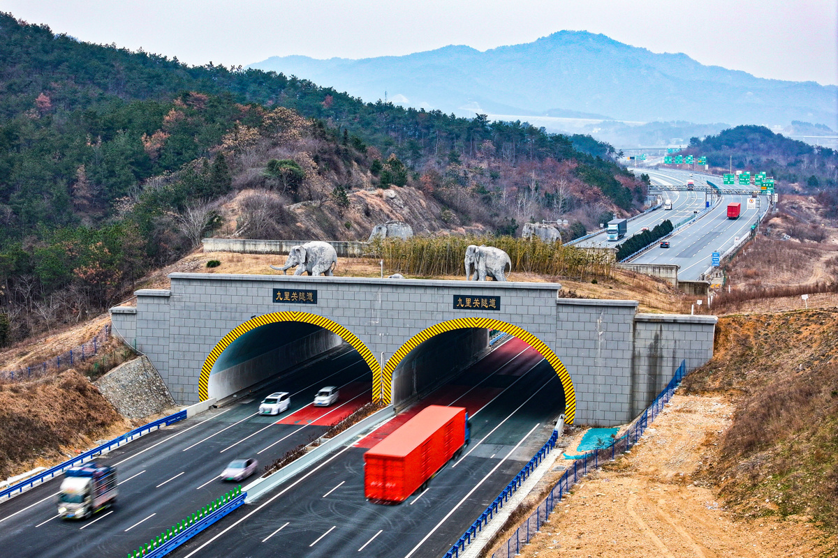 京港澳高速九里关隧道双向八车道贯通，鄂豫两省黄金通道 “无缝接轨”。 吴迪 摄.jpg