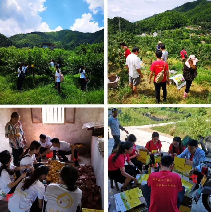 十年再续约！江西科技师范大学和神山村的不解之缘