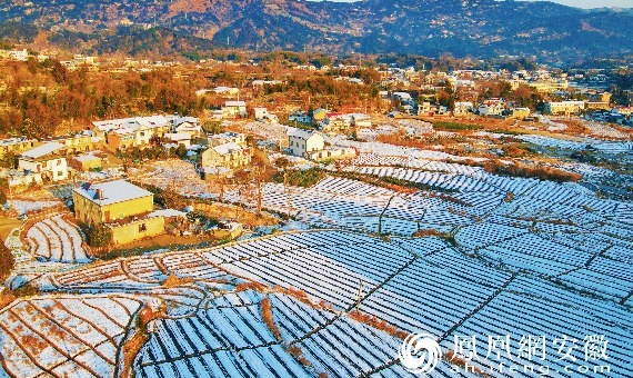 安徽安庆：素雪覆千畴 农韵满乡村