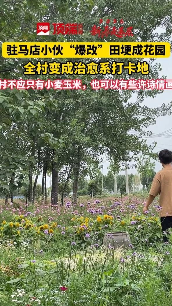 驻马店小伙爆改田埂成“花园”，全村变成治愈系打卡地(顶端新闻记者 曾令统)#2026新春走基层 #河南dou知道