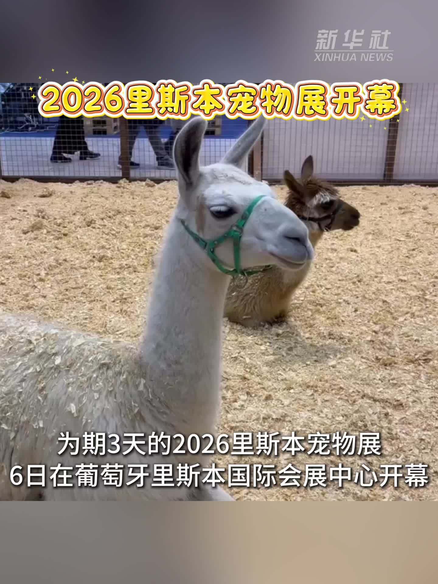 2026里斯本宠物展开幕
