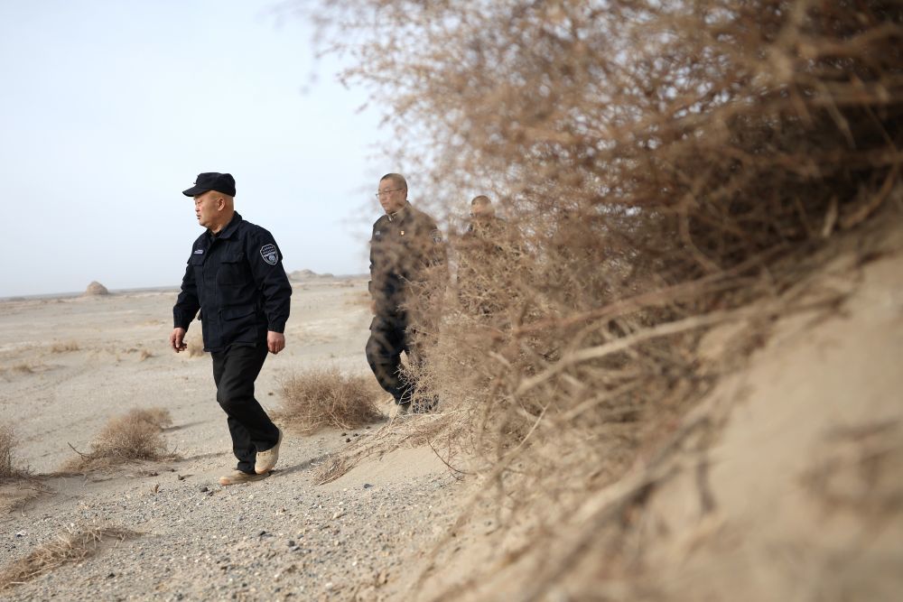甘肃敦煌西湖国家级自然保护区管护中心玉门关保护站工作人员王成海（前）和同事在保护区内巡护（2月5日摄）