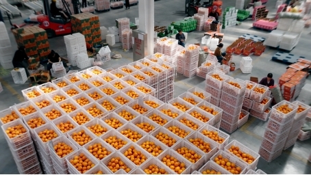 点击查看原始图片