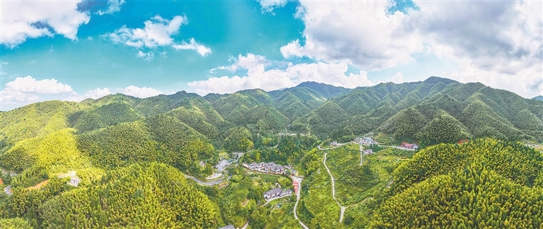 神山村全貌。江西日报全媒体首席记者 李 劼摄