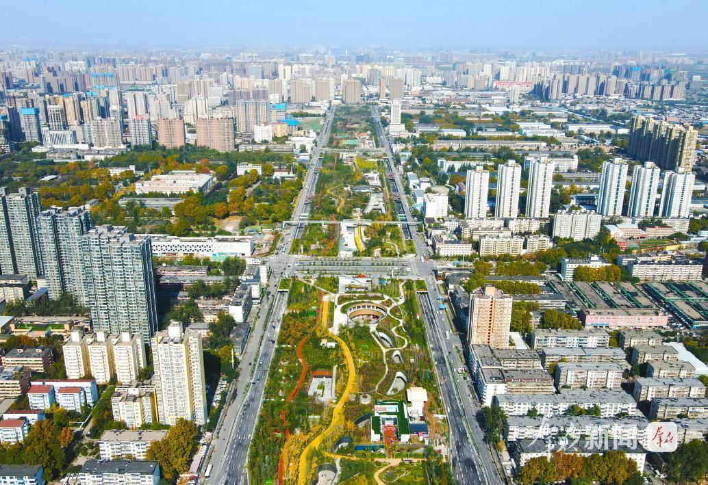 改造后的幸福林带