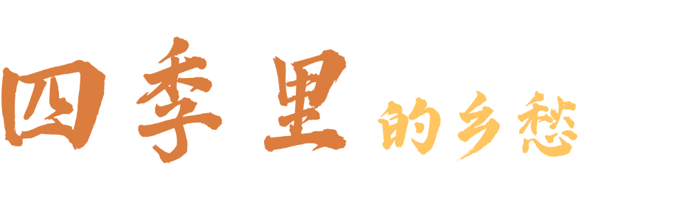 武威喊你　回家过年