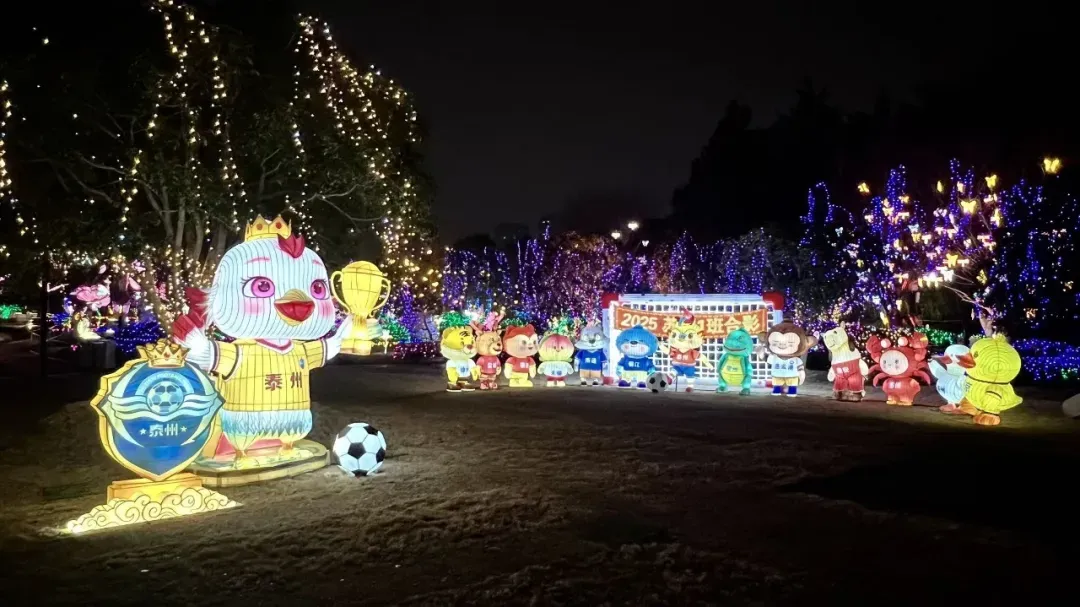 亮灯！2026泰州望海楼新春灯会满屏光影