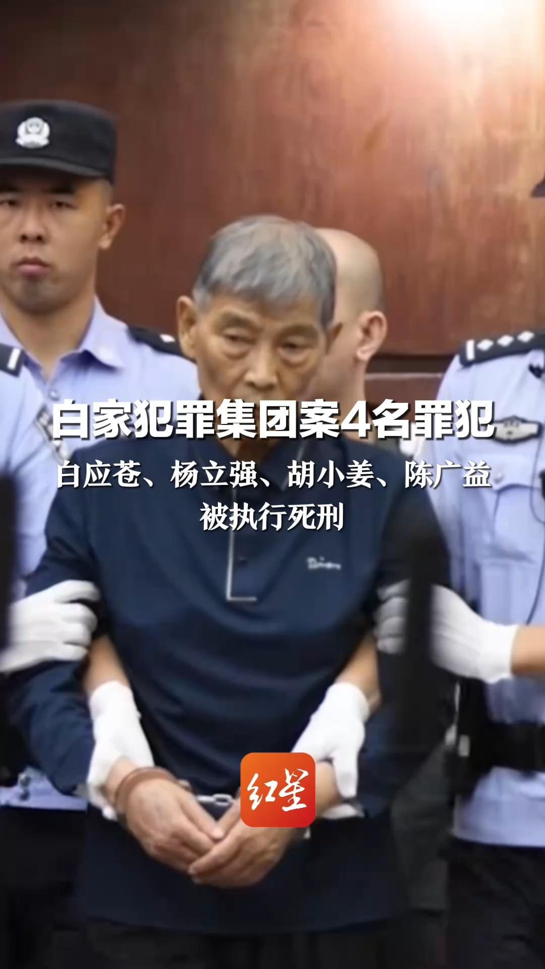 白家犯罪集团案4名罪犯 白应苍、杨立强、胡小姜、陈广益 被执行死刑