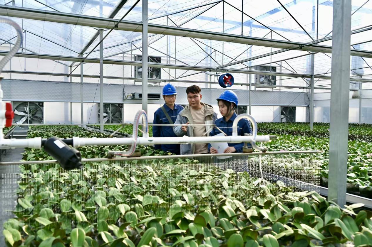 图为：佛山南海供电局里水供电所工作人员到华穗耘谷农业科技有限公司开展用电检查。（林咏菁 摄）