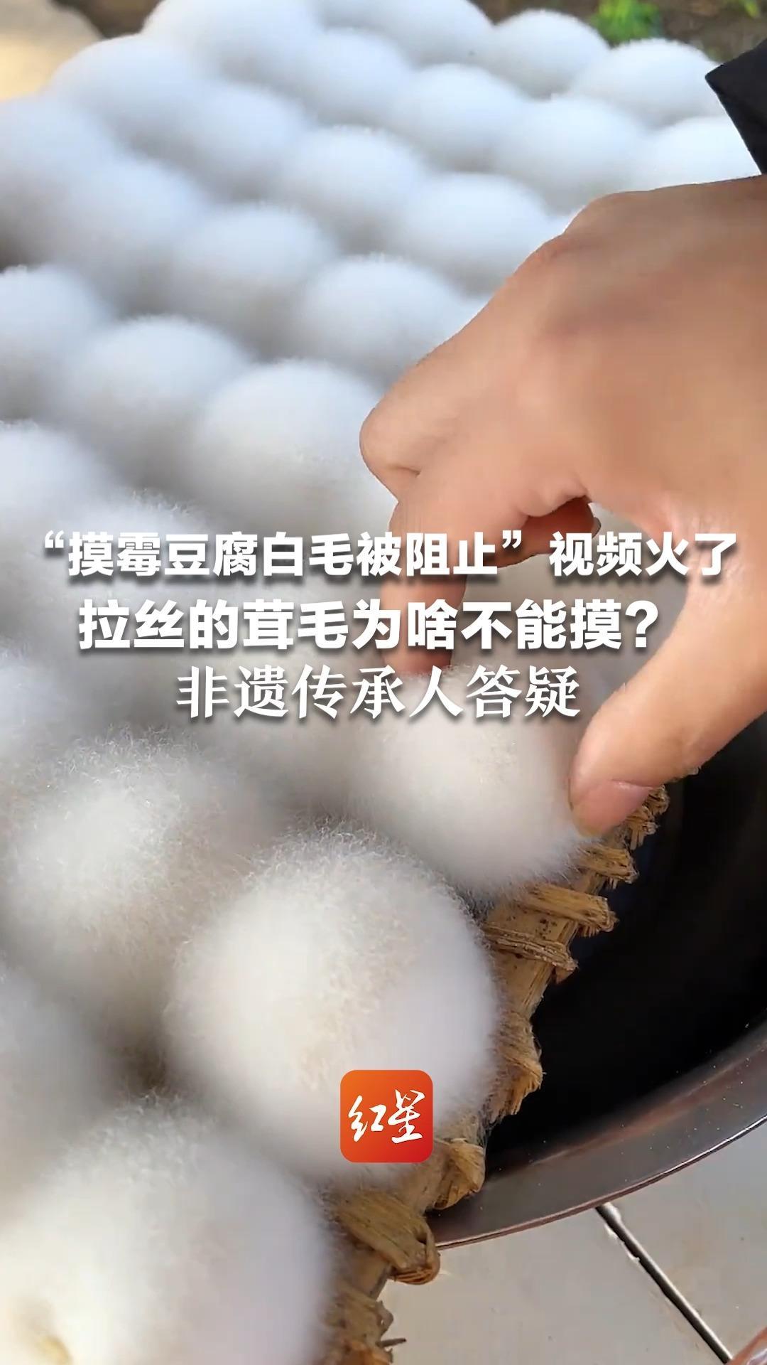 “摸霉豆腐白毛被阻止”视频火了 拉丝的茸毛为啥不能摸？非遗传承人答疑：手上有细菌，霉豆腐沾手不安全